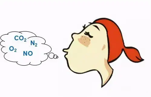 呼气的表情包呼吸系统