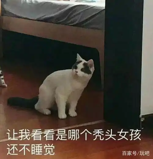 我有10000个怼人表情包,送你要不要