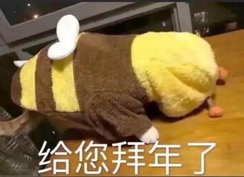 新年到拜年表情包走起