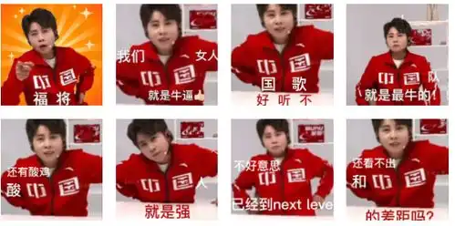 冬奥会王濛表情包解说还得看我濛姐