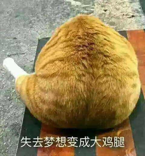 的相册表情包s