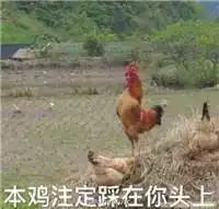 怼天怼地的法国人如果假期被搅乱,当然是连只鸡都不会放过啊