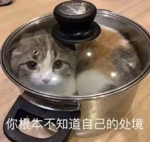 萌宠表情包给你一大口亲亲