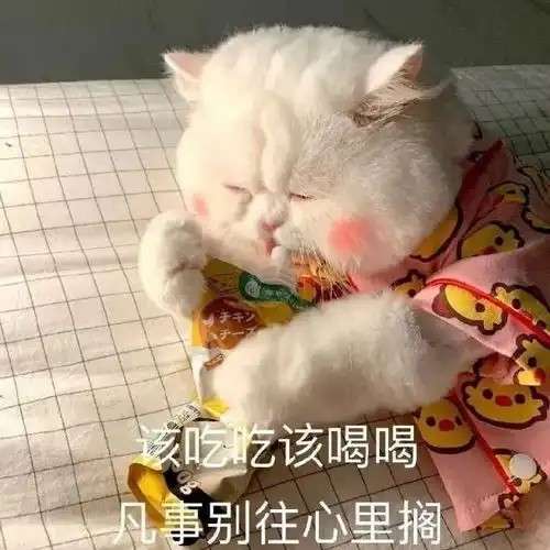 表情包女人得哄的你晓得吧