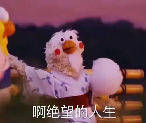 你们是喜欢惊艳型还是耐看型