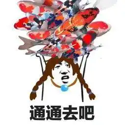 写作业的看过来essayreport的成绩评定标准来啦