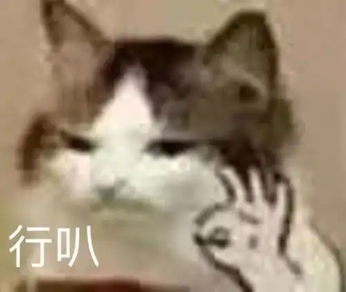 二乔nice表情包三国