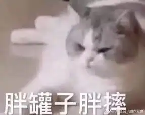 徽敏瑶谢桥闻雪的微博微博