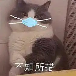 丁真你说的西藏是什么四川