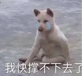 熊孩子终于快开学了爸妈们已经憋不住笑了
