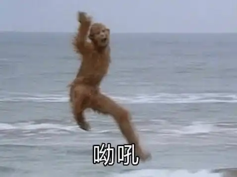 表情包沙雕动画磕头