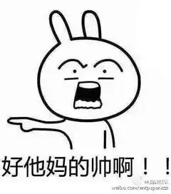 求妈我要嫁他表情包