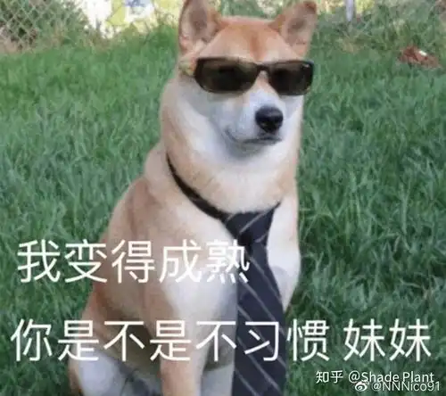撩妹表情包动漫一键生成
