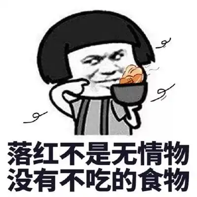 抖音吃货表情包一寸光阴一寸金,老板再来两烧鸡