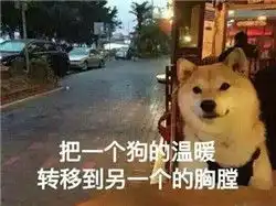 女儿情人节祝福表情包情