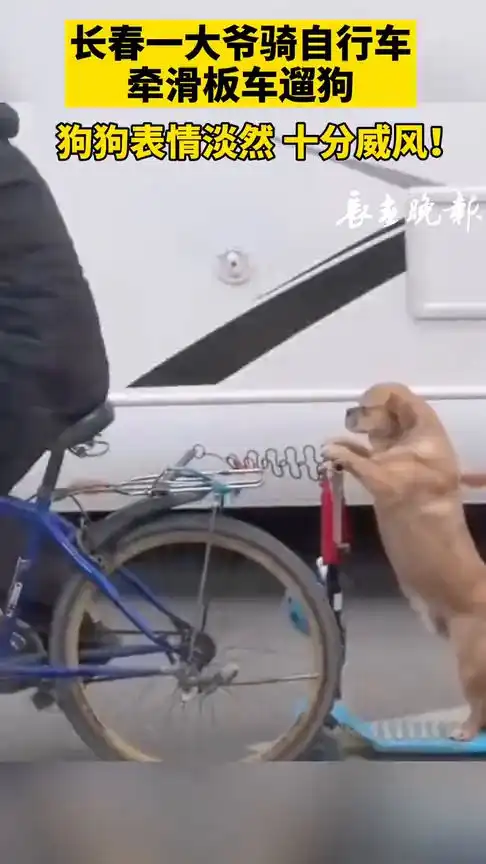 自行车表情包动态图大爷
