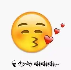 2017撩妹表情包雷子