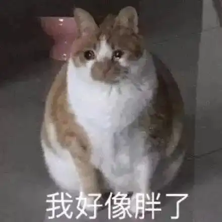 留学生说话中英文夹杂,是在装x吗