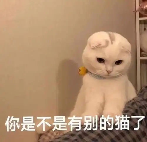 热门聊天表情包丨哭有什么用呢