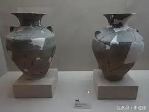 在西戎保西垂参观甘肃秦文化博物馆
