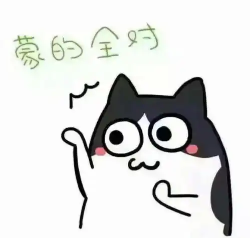 你们宿舍群名字叫啥