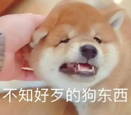 kacn游戏尝鲜幻塔今日公测大家游戏体验如何
