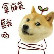 我学的旅游管理,可我真的不是导游啊