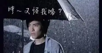 今早的深圳狂风暴雨萧敬腾你在哪里