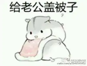 这个仓鼠表情叫什么求这个表情的表情包
