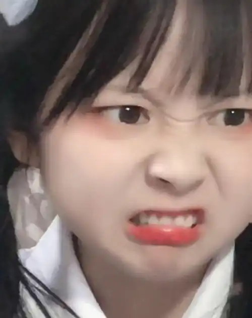 大胖脸女生表情包废物