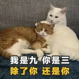土味情话表情包丨西天取经,我娶你