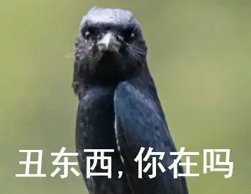 国外这组卖萌的表情包火了贵州梵净山的鸟也坐不住了