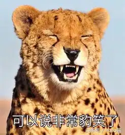 喵星人玩刺猬被刺到还不学乖,一屁股坐了上去...