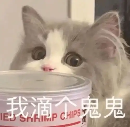 看什么看找打丨第217期喵表情