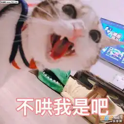 白眼一翻世界与我无关表情包大猪蹄子你在吗喵星人表情包下载乐游网游戏下载