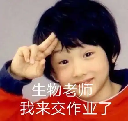 发作业表情包陈婷婷