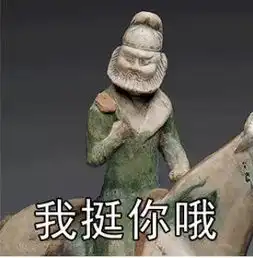 是时候向你种草这些奇妙专业了
