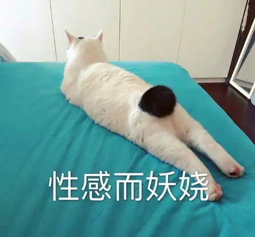 沙雕表情包l我的好朋友,一起王者吗