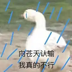 表情包您好,我是来应聘干饭王的